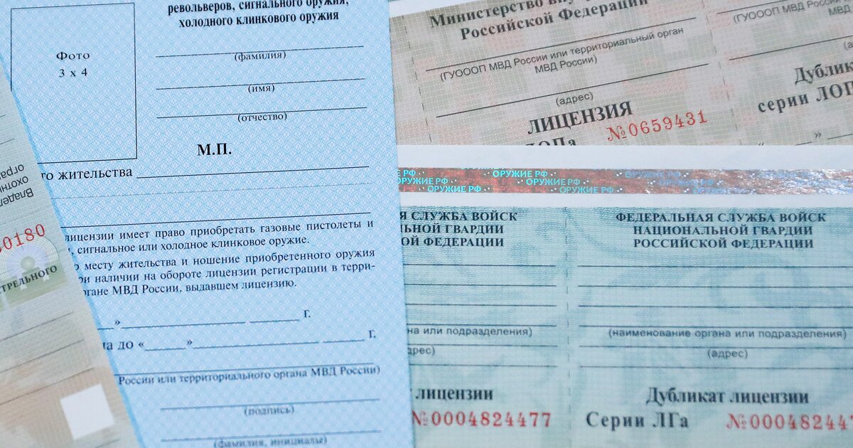 как выглядит лицензия на ружье. как выглядит разрешение на ружье. документы для лицензии на оружие. лицензия на приобретение гладкоствольного оружия. лицензия на охотничье ружье.