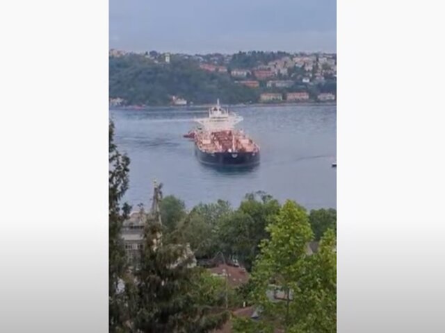 Власти Стамбула прокомментировали ситуацию в Босфоре
