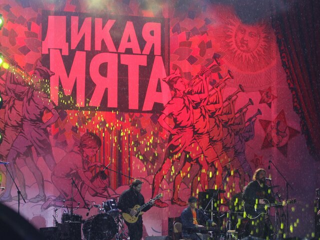 Правительство Тульской области согласовало фестиваль "Дикая мята"