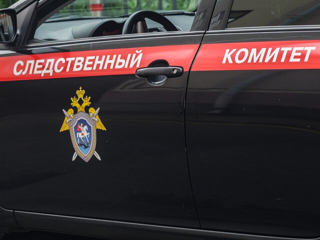 СК в Москве проверит инцидент с травмированием девочки при падении дерева