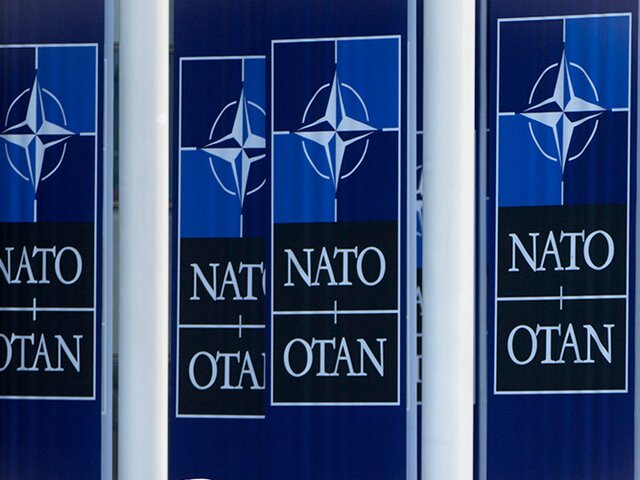 Украинский эксперт оценил слова представителя ФРГ о вступлении Украины в НАТО