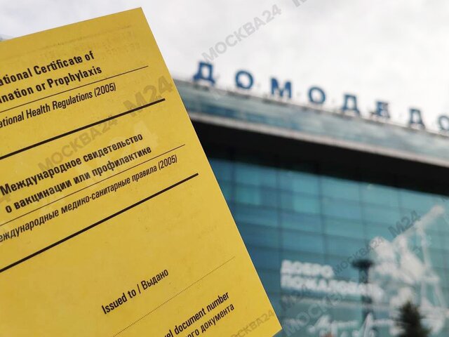 Аэропорт Домодедово начал выдавать паспорта вакцинации