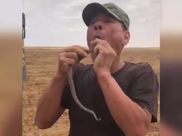В Астраханской области мужчина умер после трюка с заглатыванием змеи