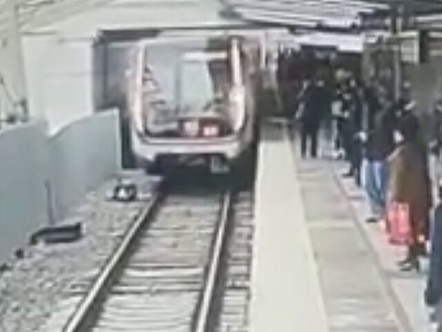 Поезд в столичном метро резко затормозил из-за человека на путях