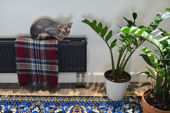 что негативно сказывается на. Смотреть фото что негативно сказывается на. Смотреть картинку что негативно сказывается на. Картинка про что негативно сказывается на. Фото что негативно сказывается на что негативно сказывается на. Смотреть фото что негативно сказывается на. Смотреть картинку что негативно сказывается на. Картинка про что негативно сказывается на. Фото что негативно сказывается на