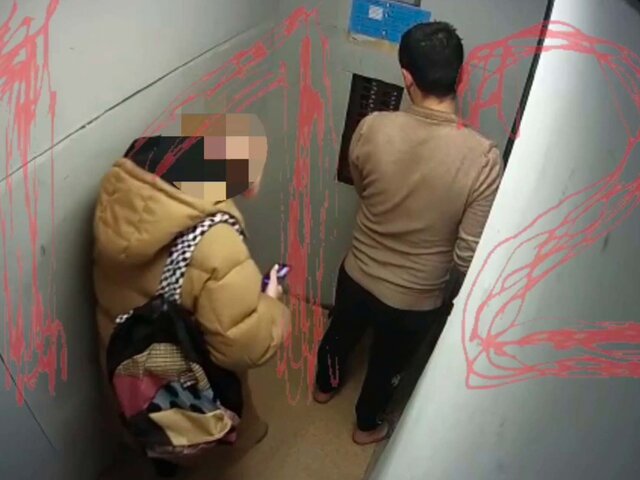В Москве задержали пытавшегося изнасиловать девушку в лифте мужчину