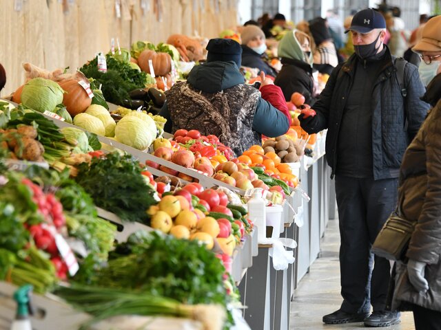 Минсельхоз исключил риск дефицита овощей в России