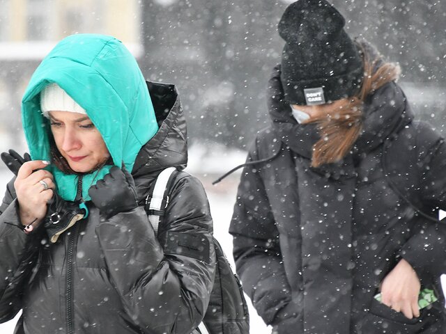 МЧС предупредило москвичей о мокром снеге и сильном ветре