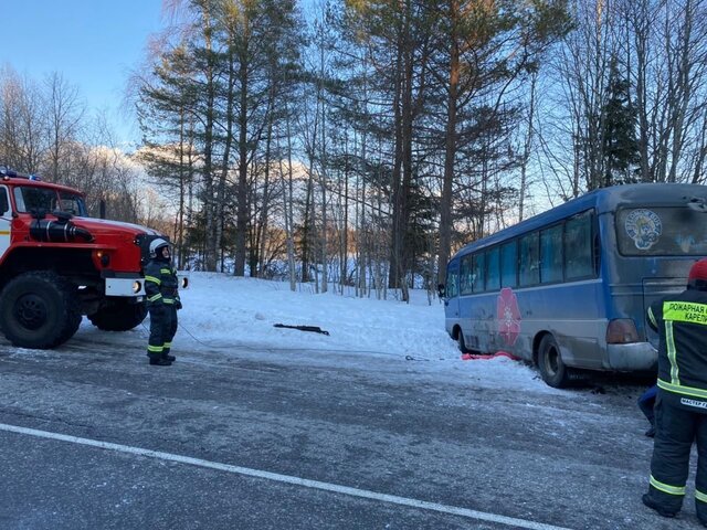 Автобус с 19 детьми попал в ДТП в Карелии