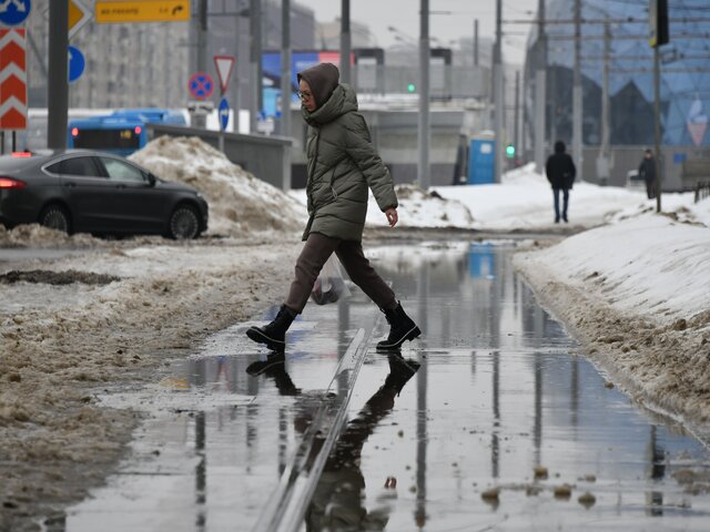 Синоптик спрогнозировал мартовскую температуру в Москве в конце января