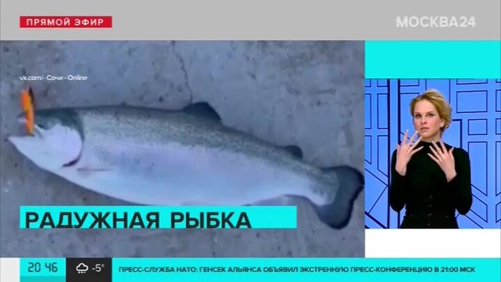 Где можно поймать форель в России - лучшие места для рыбалки