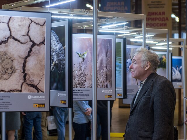 В Москве наградили победителей всероссийского фотоконкурса "Дикая природа России"