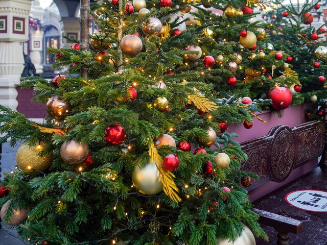 Названы главные правила украшения новогодней елки