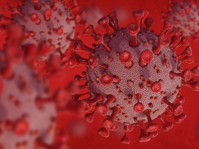 Вирусолог рассказал, можно ли остановить мутации коронавируса