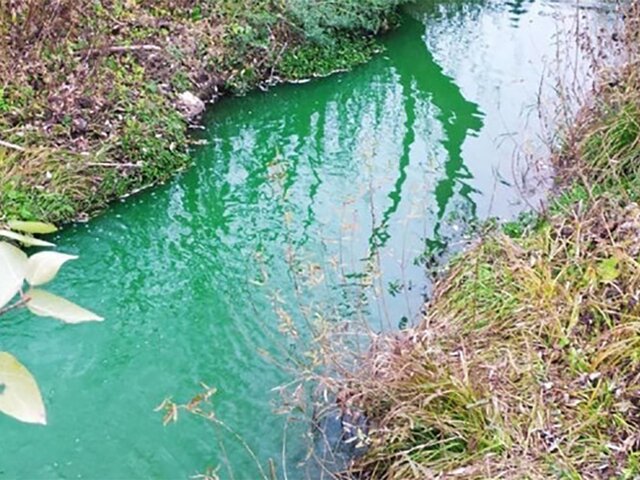 Прокуратура отреагировала на ситуацию с зеленой водой в реках Перми