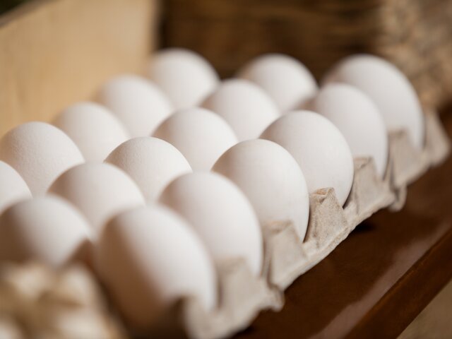 ФАС РФ проверит ценообразование на яйца в магазинах после письма от производителей