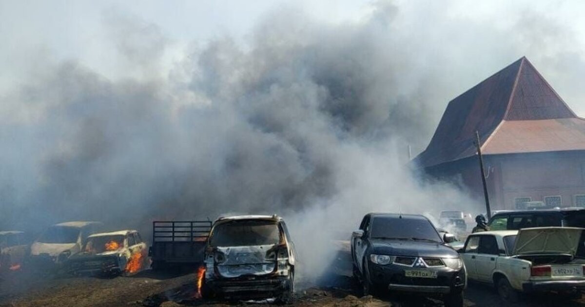 Лесные пожары. Пожары в красноярском крае 7 мая 2022 года. Пожар в организации. Пожар в ачинске 7 мая 2022. Белый яр курган.