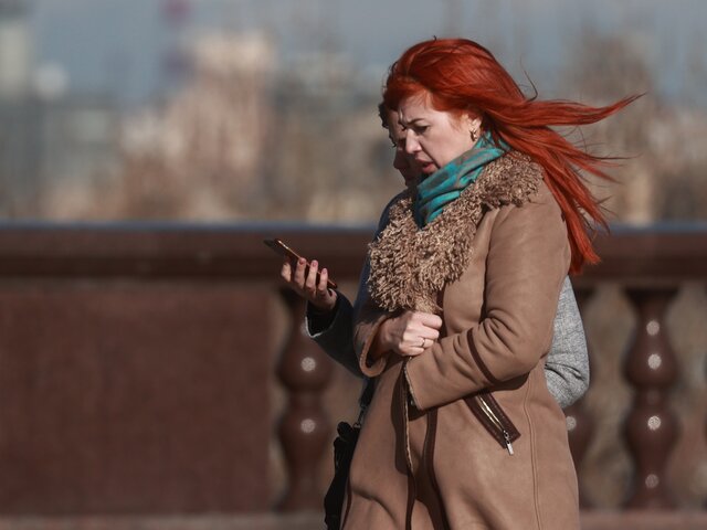 Москвичей предупредили об усилении ветра в столице до конца суток