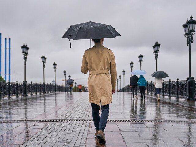Синоптик предупредила о продолжении дождей на следующей неделе в Москве