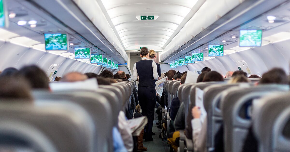 Люди в самолете. Бизнес класс в самолете. Самолет внутри с пассажирами. Пассажиры в самолете фото. Пассажирка рейса.
