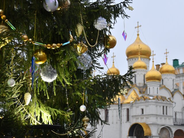 Расходы на новогоднюю елку в Кремле увеличатся на 32 млн руб в 2023 году