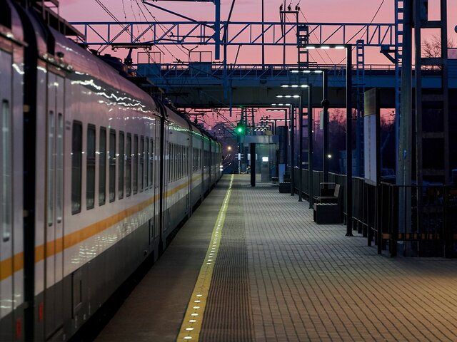 Поезда задерживаются на Киевском направлении МЖД из-за остановки состава