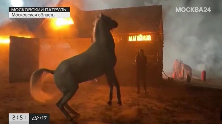 Горела конюшня. Пожарная лошадь. Горящая конюшня. Конь бежит из горящей конюшни. Конюшня Волшебный лес сгорела.