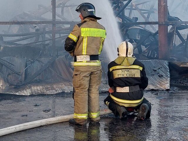 Пожар на рынке в Волжском локализован на площади 7 тыс квадратных метров – МЧС