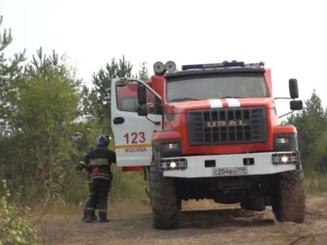 В МЧС заявили, что природный пожар в Ростовской области ликвидирован