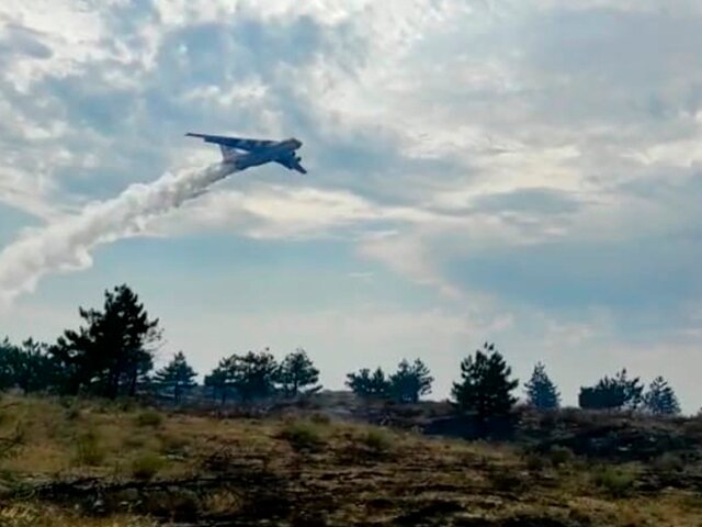 Площадь лесного пожара в Ростовской области выросла до 252 гектаров