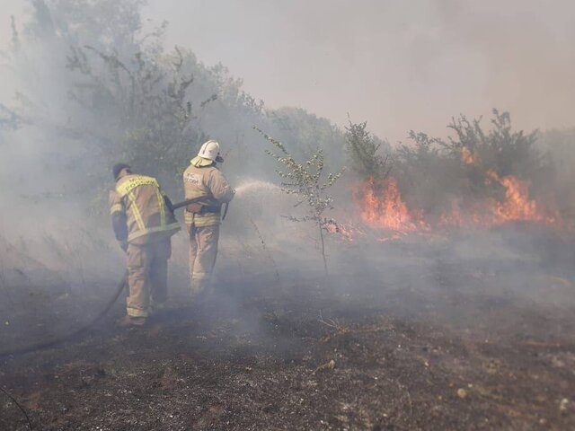 Больше 60 человек эвакуированы из станицы в Ростовской области из-за лесного пожара
