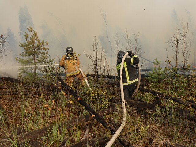 Собянин сообщил, что лесные пожары под Рязанью могут быть локализованы в ближайшие дни