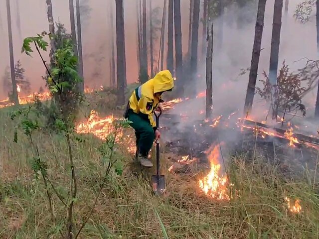 В Рязанской области непотушенным остается один очаг лесных пожаров – власти
