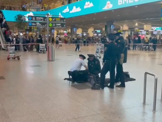 Пьяный пассажир заявил о бомбе в своем рюкзаке в аэропорту Домодедово