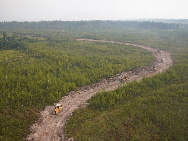 Власти Рязанской области заявили об отсутствии открытого горения на лесных пожарах