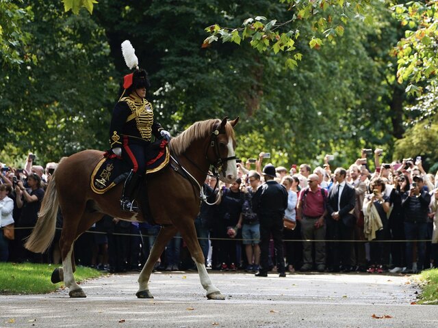Королева-консорт Камилла будет ухаживать за лошадьми Елизаветы II – СМИ