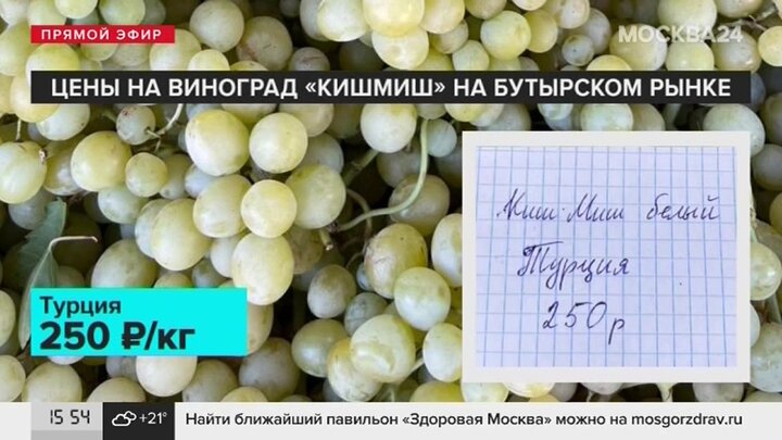 Один килограмм винограда стоит 140 рублей. Стоимость винограда за 1 кг. Сколько стоит виноград. Виноградники в октябре. Сколько стоит виноград 1 кг.