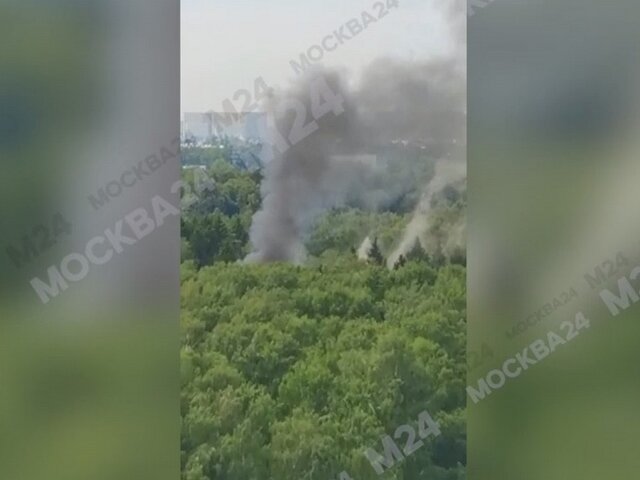Дача Мейерхольда сгорела в Подмосковье