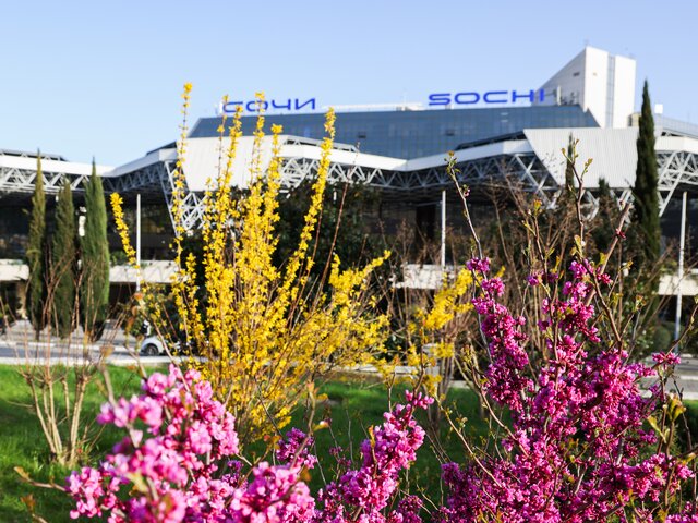 Аэропорт Сочи начнет работать как транзитный хаб с 1 июня