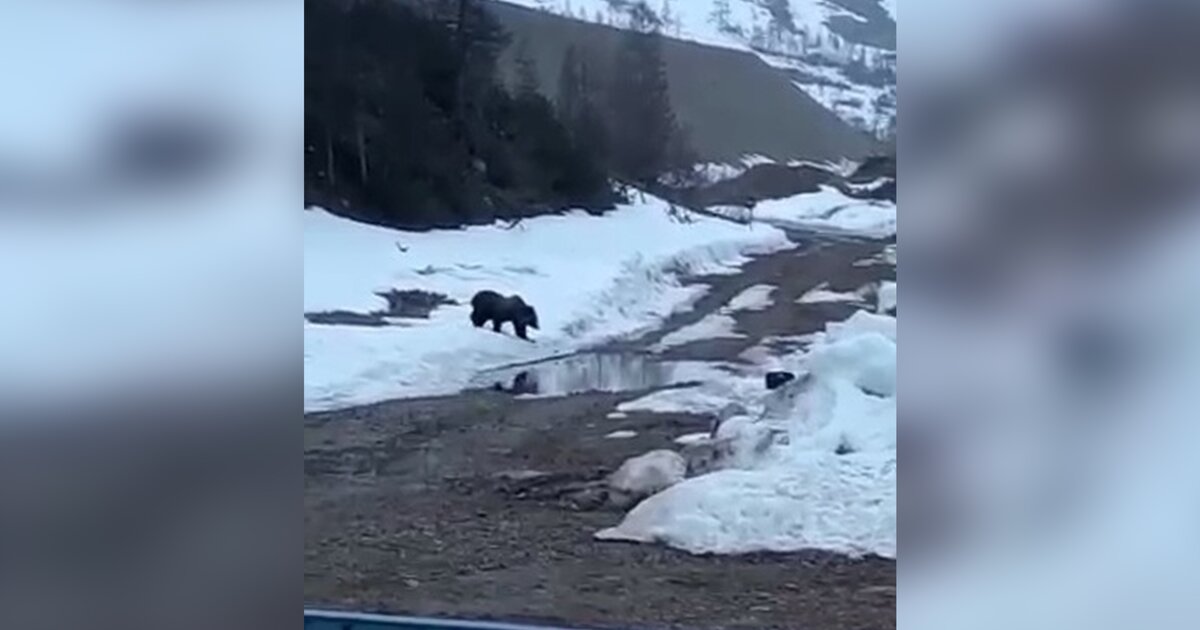 Можно Ли Поменять Фото На Пушкинской