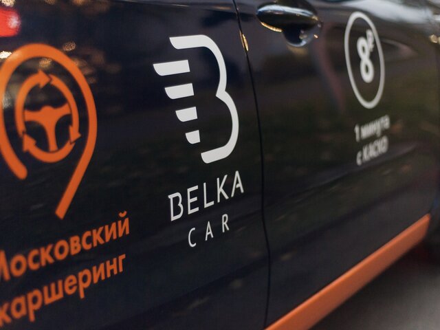 Ботинки для собаки и 10 кг мяса забывали с начала года в машинах BelkaCar в Москве