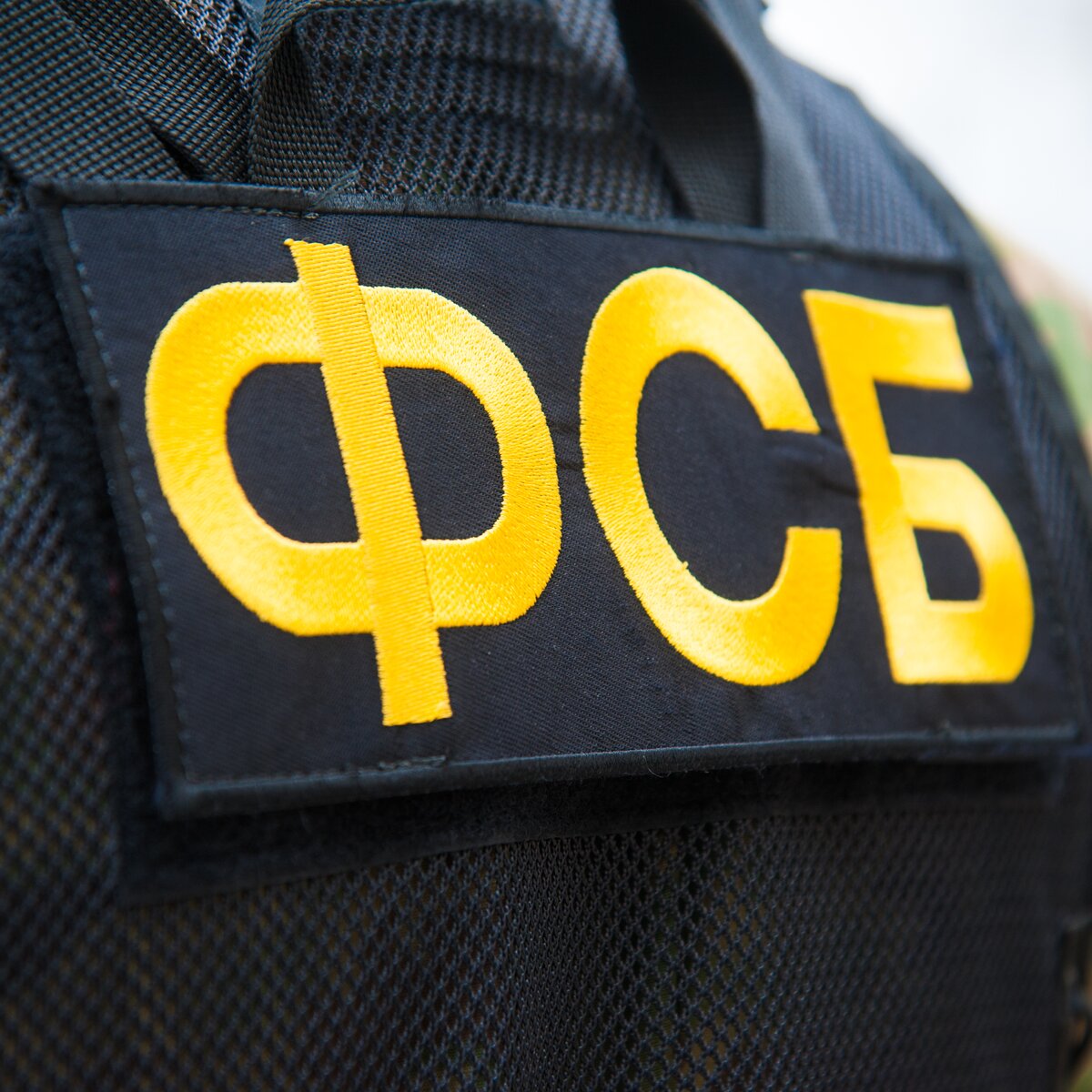 https://www.m24.ru/b/d/nBkSUhL2hFcvncm0Ib6BrNOp2Z318Ji-miDHnvyDoGuQYX7XByXLjCdwu5tI-BaO-42NvWWBK8AqGfS8kjIzIymM8G1N_xHb1A=ePsA2RYtLMgmVuSl4D74HQ.jpg