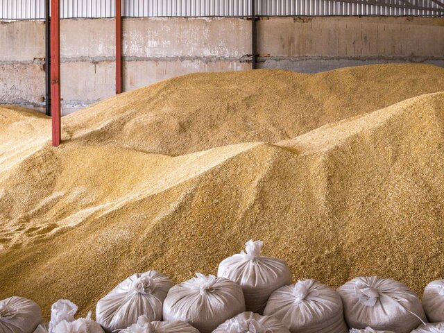 Зерновой сделке потребуется альтернатива, если сельхозэкспорт РФ не разблокируют – МИД