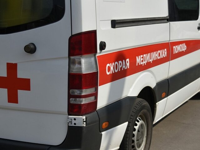 Семь человек пострадали в ДТП с рейсовым автобусом в Ульяновской области