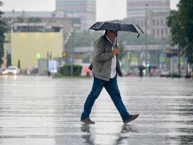 Жителей Москвы предупредили об умеренном дожде и грозе 24 мая