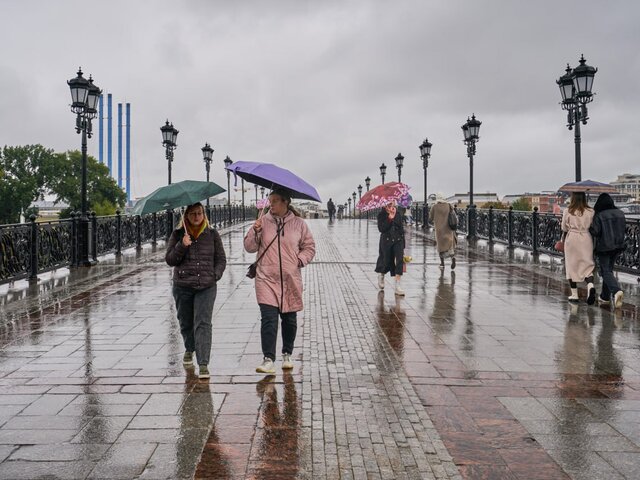 Желтый уровень погодной опасности из-за грозы и ливня объявили в Москве