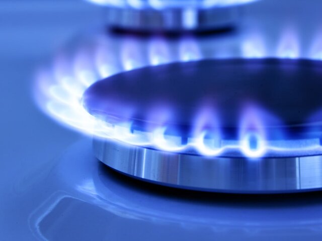 В Минэнерго исключили единый подход по ценам на газ для Белоруссии и Казахстана