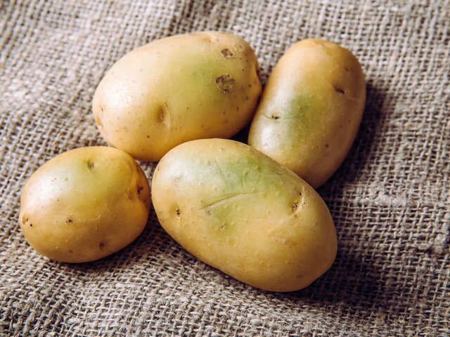 Врач рассказала о рисках употребления зеленого картофеля