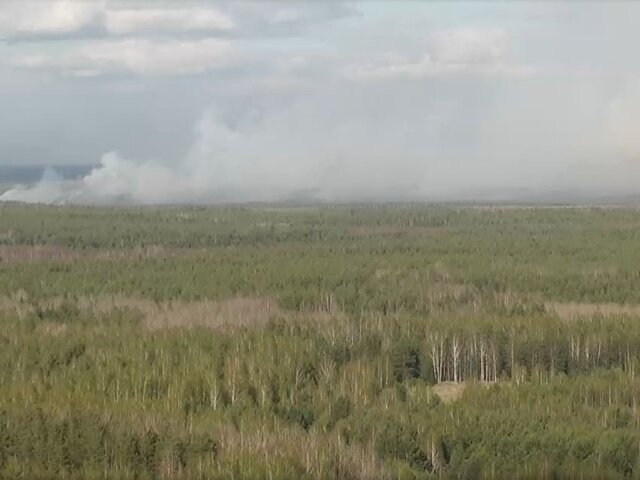Лесной пожар в районе складов с порохом в Свердловской области ликвидировали