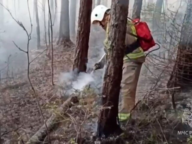 В трех регионах Урала ликвидировали природные пожары, угрожавшие населенным пунктам